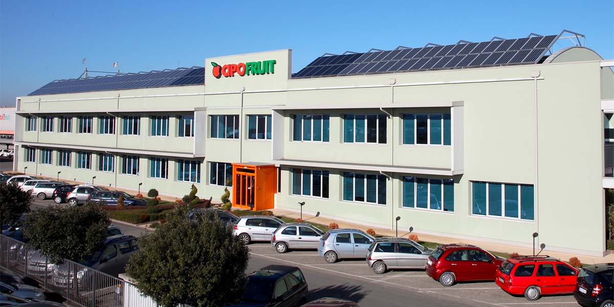 Apofruit chiude il bilancio 2024 con oltre 140 milioni distribuiti ai soci